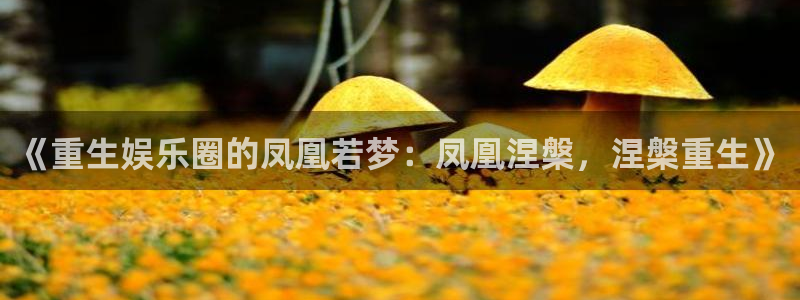 星欧娱乐加拿大在线预测：《重生娱乐圈的凤凰若梦：凤凰涅槃，涅槃重生》