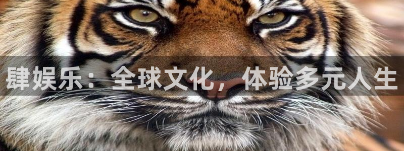 星欧娱乐.ccm：肆娱乐：全球文化，体验多元人生
