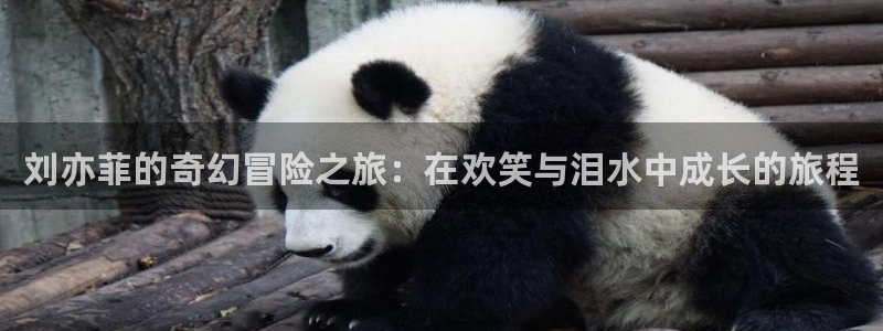 星欧娱乐电玩网官网入口：刘亦菲的奇幻冒险之旅：在欢笑与泪水中成长的旅程