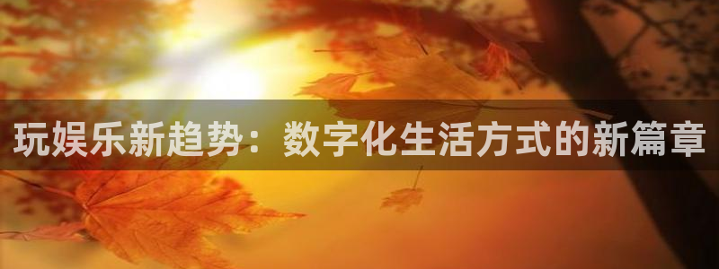 星欧娱乐在线预测：玩娱乐新趋势：数字化生活方式的新篇章
