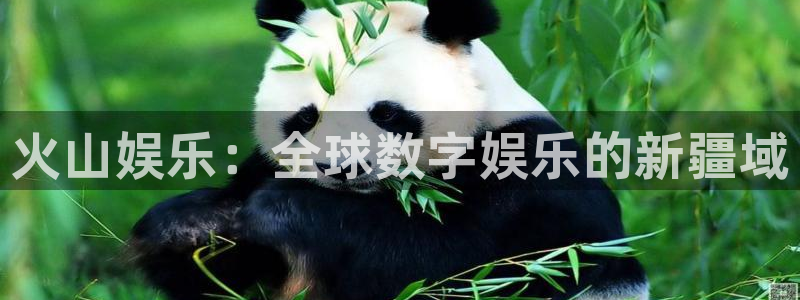 南宫星欧娱乐官网版：火山娱乐：全球数字娱乐的新疆域