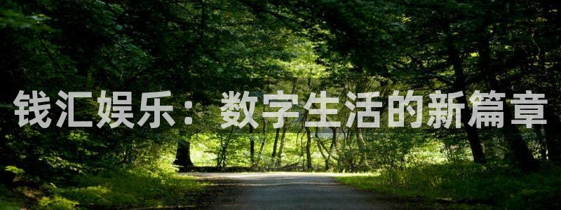 壹号大舞台娱乐app下载安装：钱汇娱乐：数字生活的新篇章