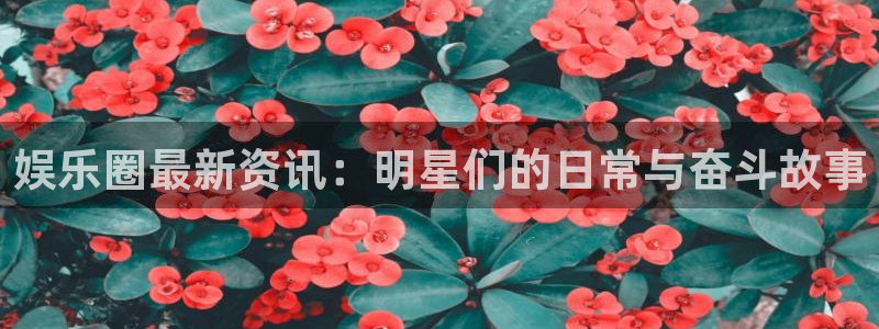 星欧娱乐.ccmpc正版官网版下载：娱乐圈最新资讯：明星们的日常与奋斗故事