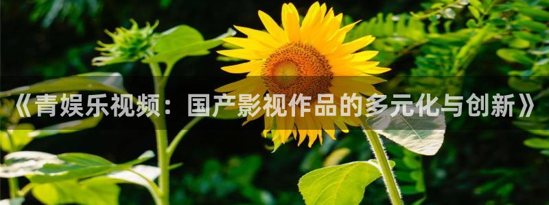 星欧娱乐vip麻将胡了