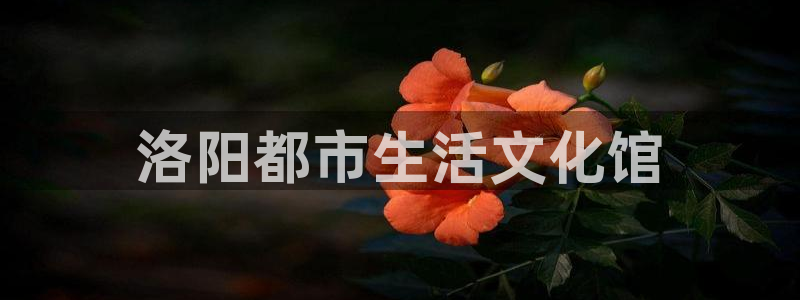 星欧娱乐下载入口：洛阳都市生活文化馆