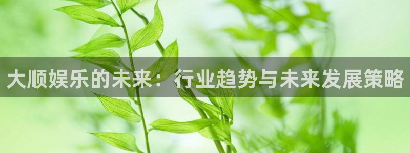 壹号top娱乐：大顺娱乐的未来：行业趋势与未来发展策略