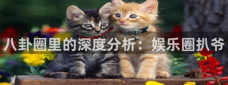 壹号国际app免费下载安装：八卦圈里的深度分析：娱乐圈扒爷