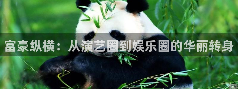星欧娱乐注册平台：富豪纵横：从演艺圈到娱乐圈的华丽转身