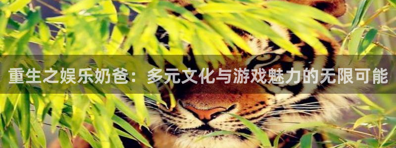 壹号app官网：重生之娱乐奶爸：多元文化与游戏魅力的无限可能