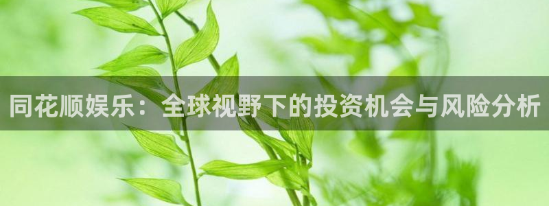 星欧娱乐官网入口
