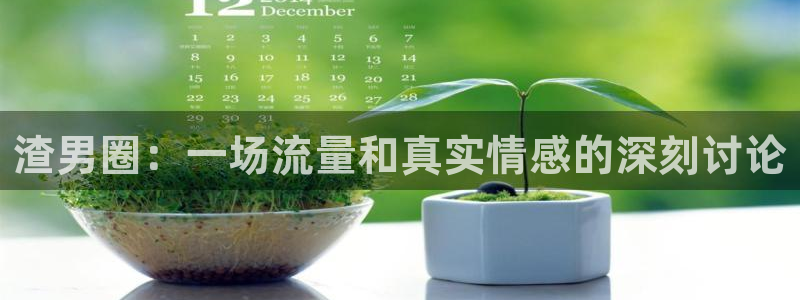 星欧娱乐加拿大下载：渣男圈：一场流量和真实情感的深刻讨论