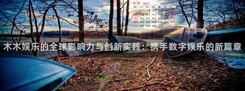 星欧娱乐,com：木木娱乐的全球影响力与创新实践：携手数字娱乐的新篇章