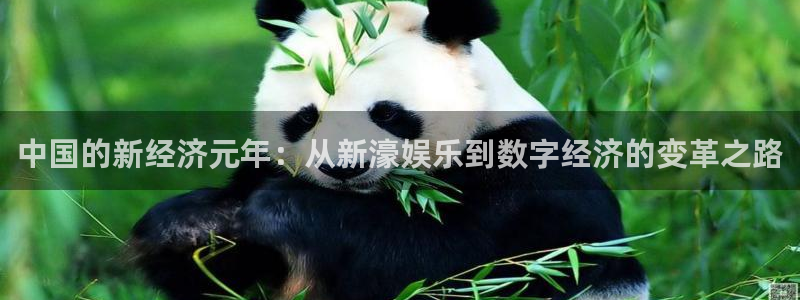 星欧娱乐(com.youad.authst)：中国的新经济元年：从新濠娱乐到数字经济的变革之路