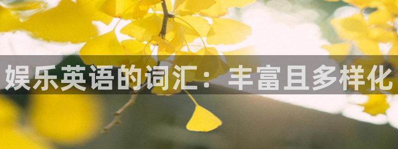星欧娱乐app官网：娱乐英语的词汇：丰富且多样化