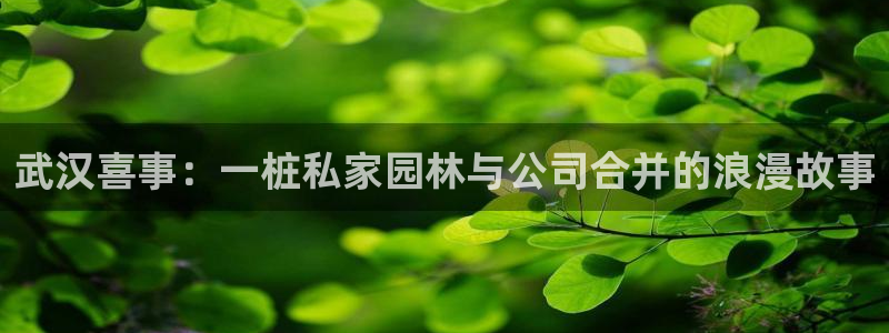 星欧娱乐平台登录：武汉喜事：一桩私家园林与公司合并的浪漫故事