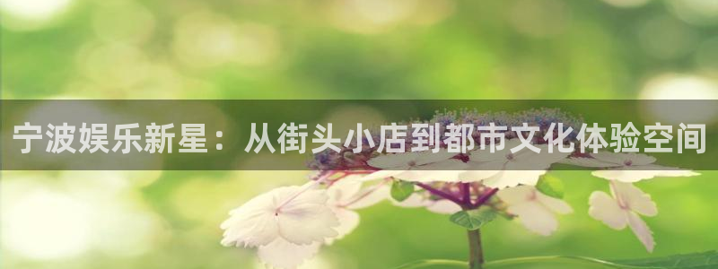 壹号大舞台28国际大舞台：宁波娱乐新星：从街头小店到都市文化体验空间