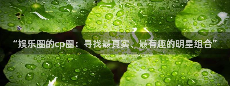 星欧娱乐官方网站：“娱乐圈的cp圈：寻找最真实、最有趣的明星组合”
