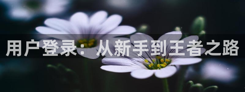 星欧娱乐加拿大：用户登录：从新手到王者之路