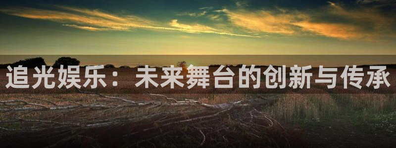 星欧娱乐电子娱乐官网下载：追光娱乐：未来舞台的创新与传承