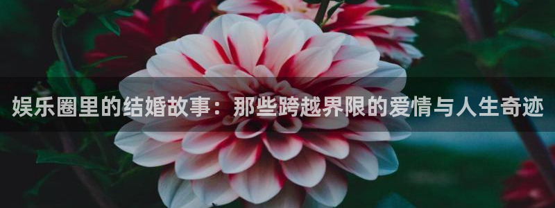 壹号大舞台娱乐传媒：娱乐圈里的结婚故事：那些跨越界限的爱情与人生奇迹