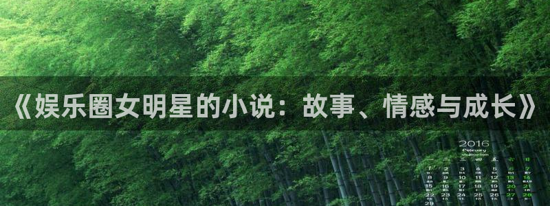 壹号大舞台入口：《娱乐圈女明星的小说：故事、情感与成长》