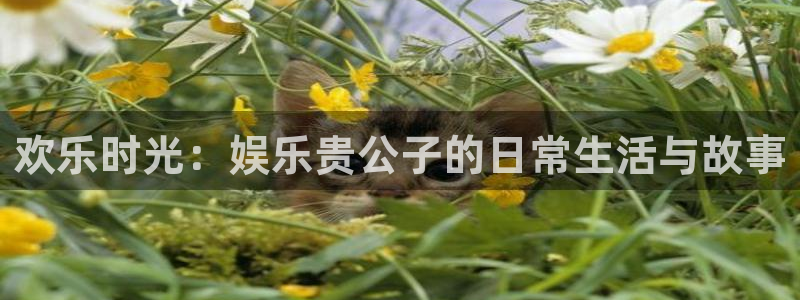 星欧娱乐注册链接入口：欢乐时光：娱乐贵公子的日常生活与故事