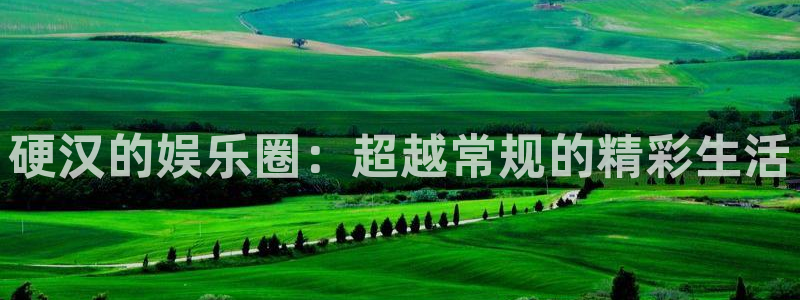 星欧娱乐下载地址：硬汉的娱乐圈：超越常规的精彩生活