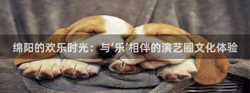 壹号app下载官网娱乐：绵阳的欢乐时光：与‘乐’相伴的演艺圈文化体验