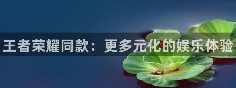 星欧娱乐下载链接：王者荣耀同款：更多元化的娱乐体验