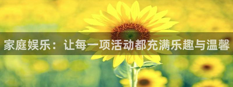 星欧娱乐吧：家庭娱乐：让每一项活动都充满乐趣与温馨