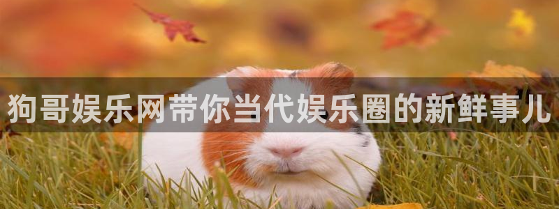 星欧娱乐苹果手机下载链接：狗哥娱乐网带你当代娱乐圈的新鲜事儿