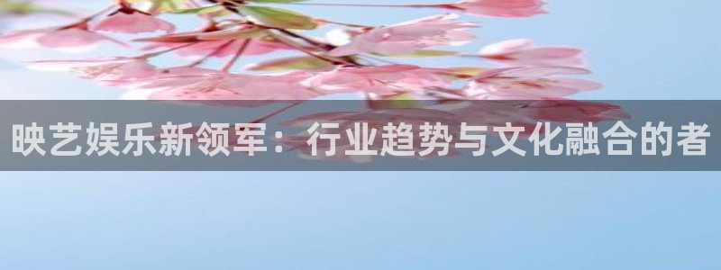 星欧娱乐平台下载入口：映艺娱乐新领军：行业趋势与文化融合的者